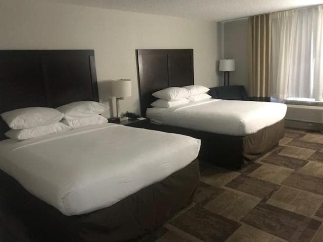 Wyndham Garden Newark Fremont Silicon Valley, Newark, foto 2