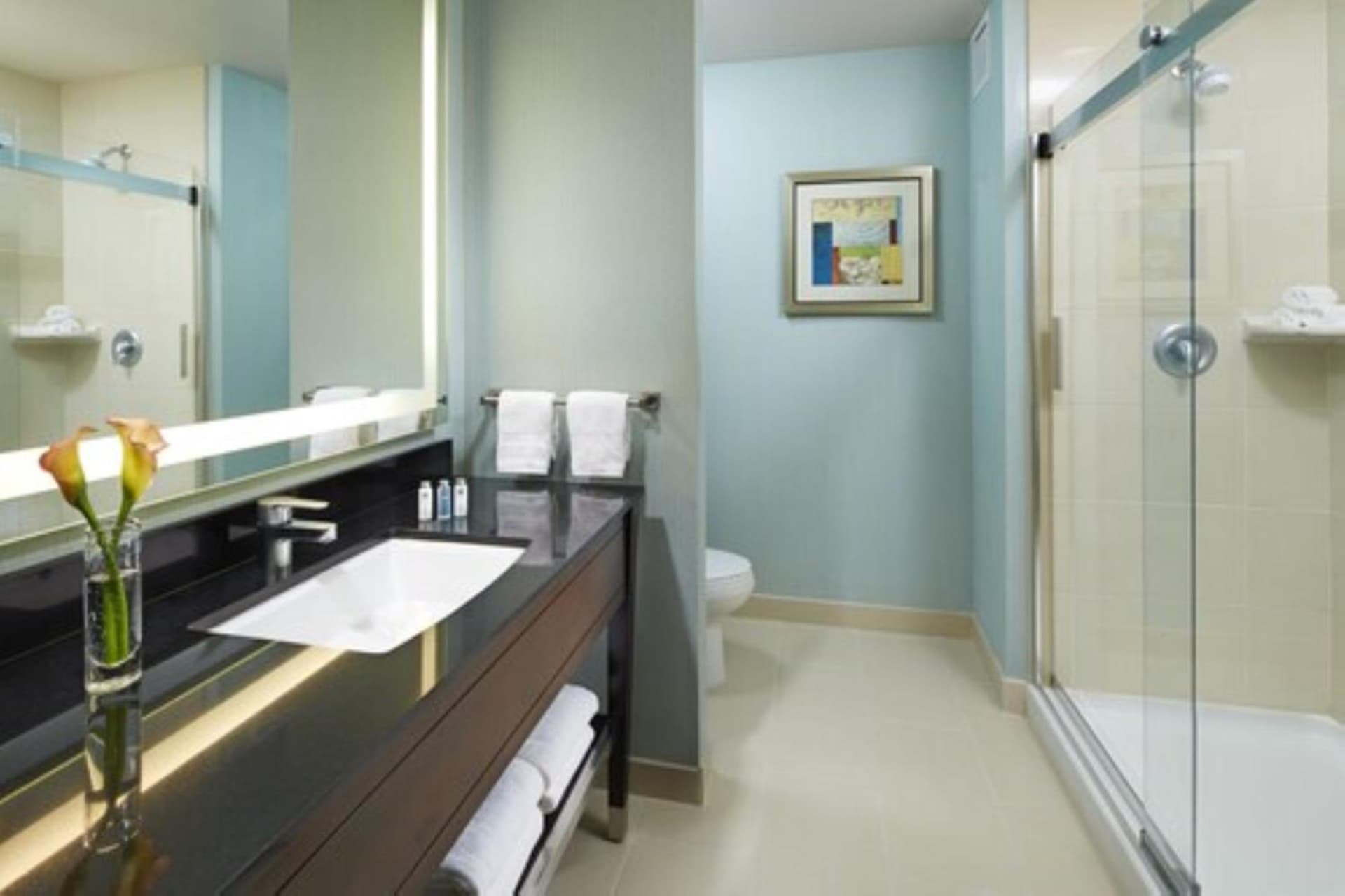 Hampton Inn San Diego Mission Valley, San Diego, foto 2