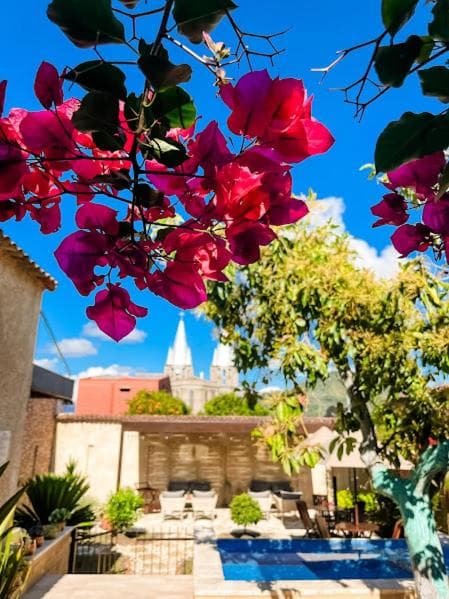 Casa Passiflora Hotel Boutique - Jardín, Jardín, foto 2