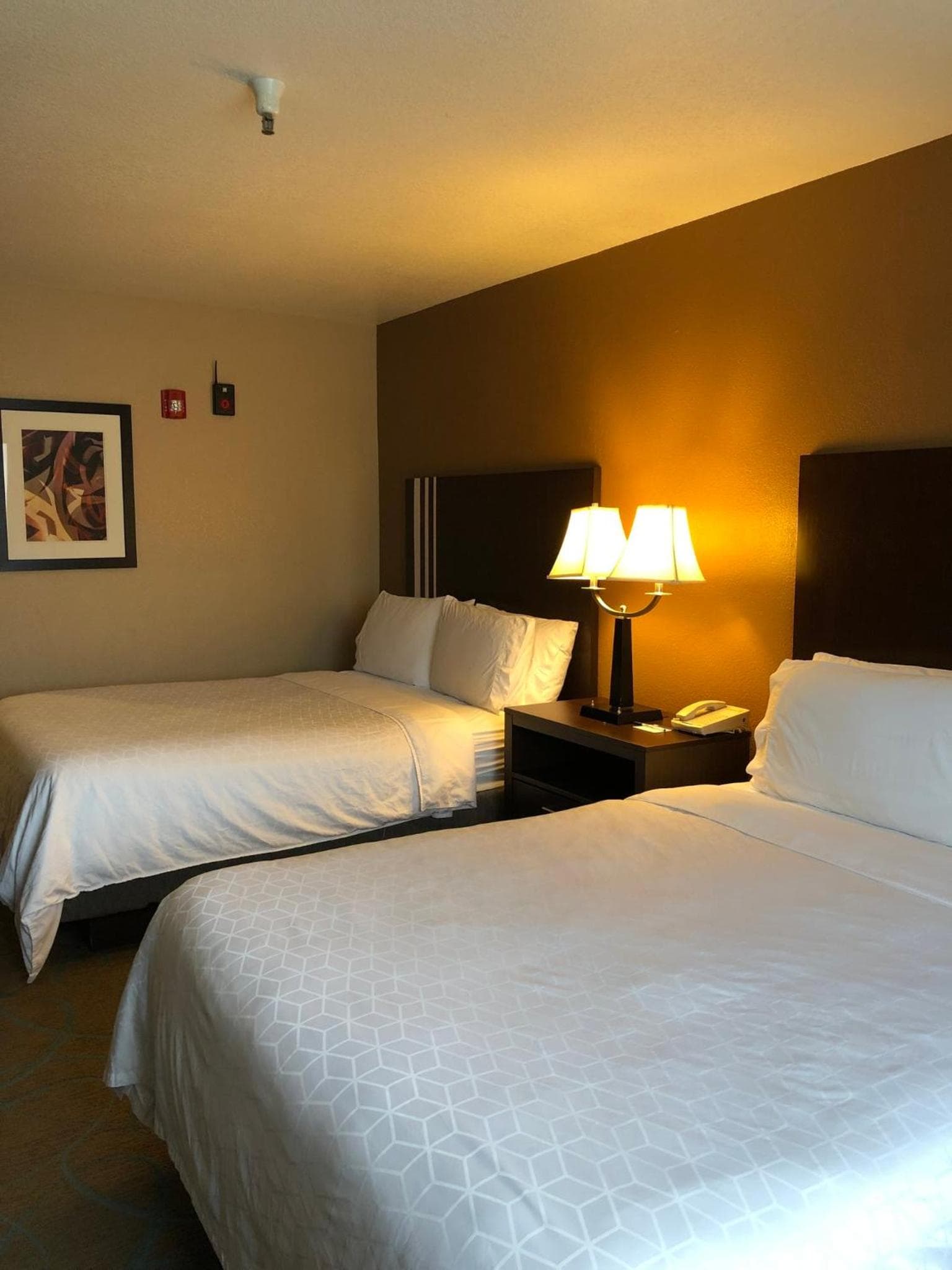 Holiday Inn Express Winnemucca by IHG, Winnemucca, foto 3