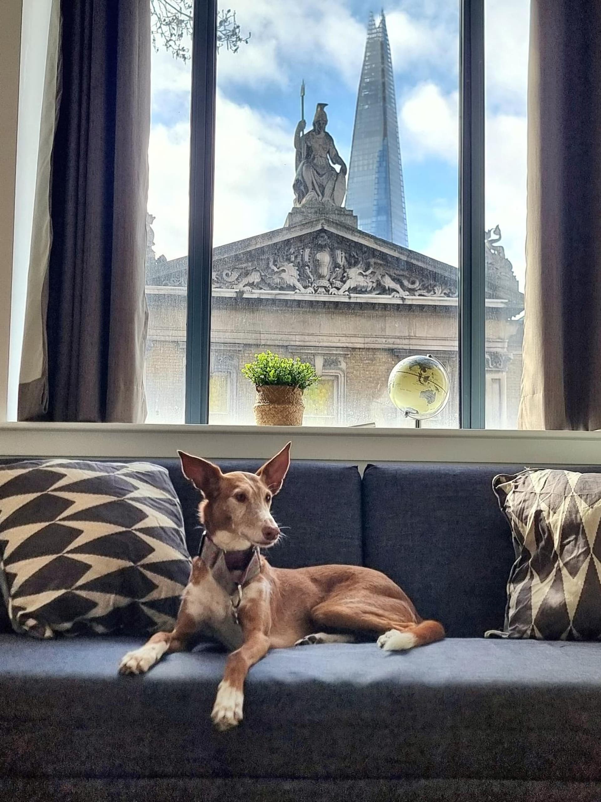 Shard View Apartments, London, foto 2