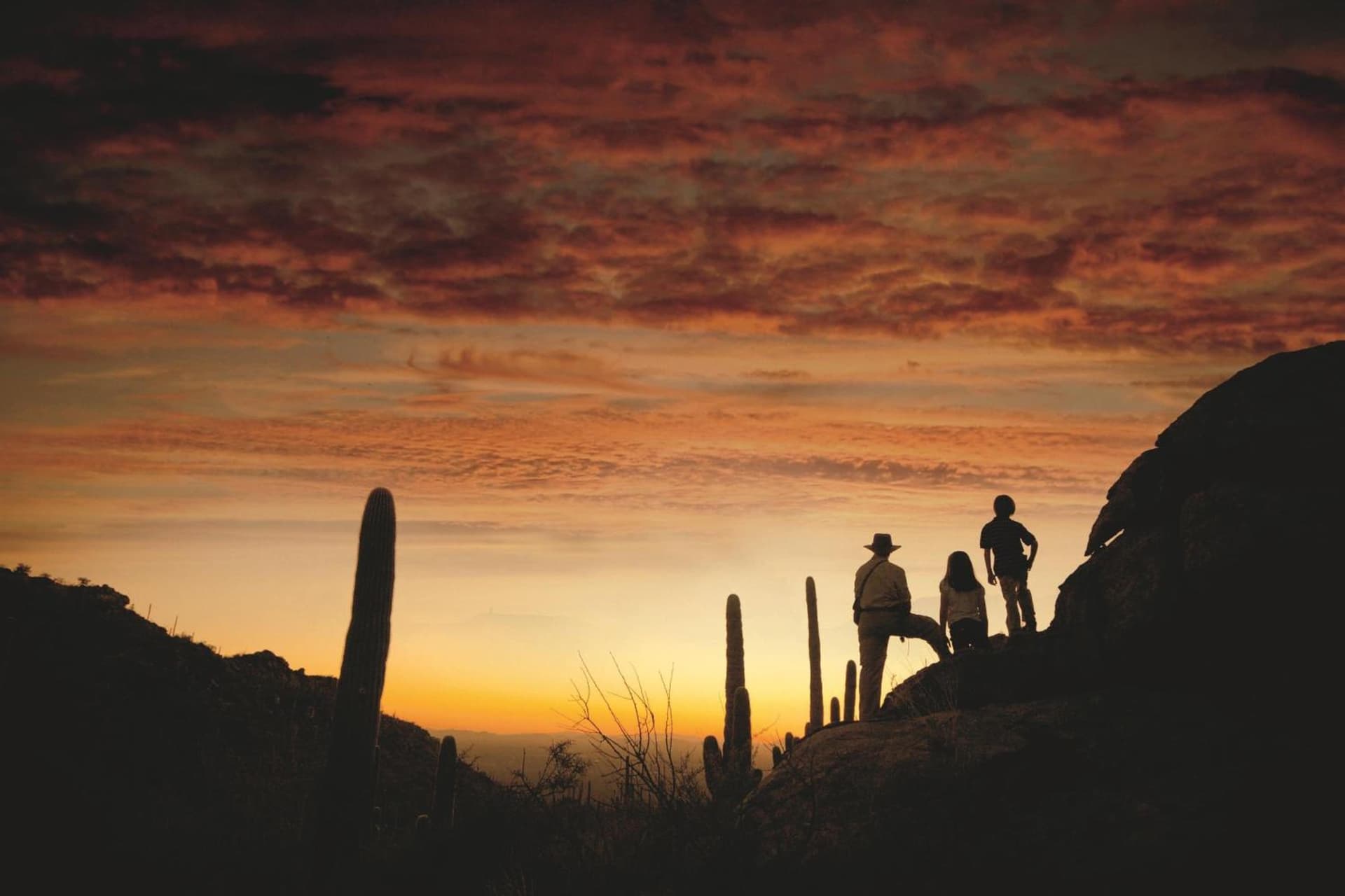 The Ritz-Carlton, Dove Mountain, Rillito, foto 2
