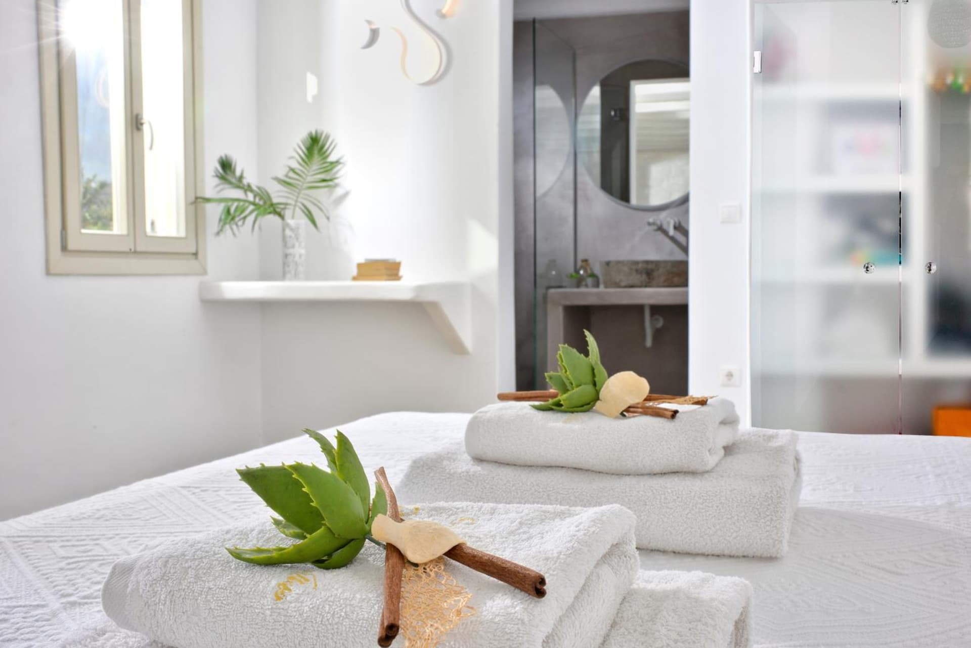 Mykonos Dream Villas, Ftelia, foto 3