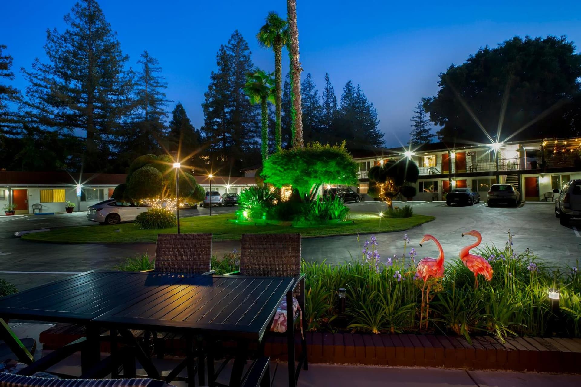 The Palo Alto Inn, Palo Alto, foto 2
