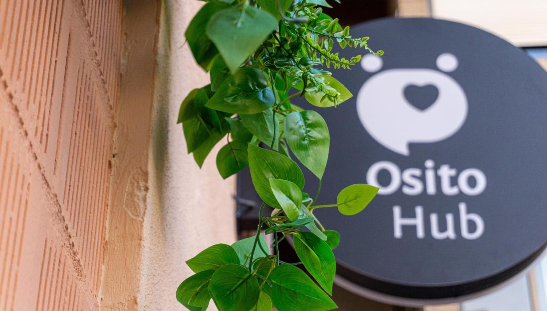 Osito Hub - Poeta Durán, Valencia, foto 3
