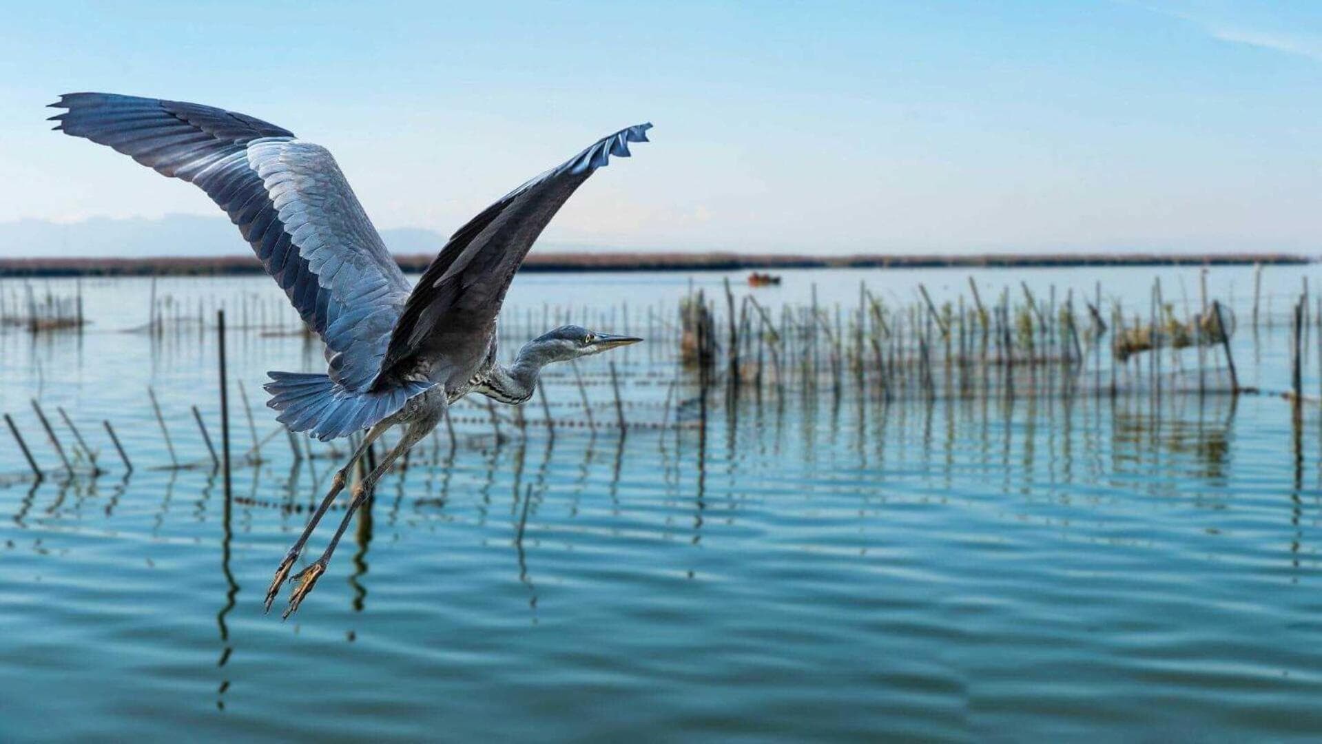 Albufera Dreams Nature Suites, Valencia, foto 2