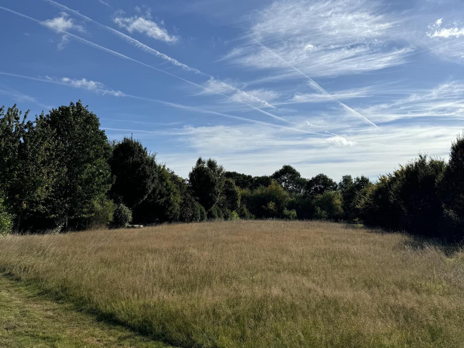 Hookwood Lodge, Horley, foto 2