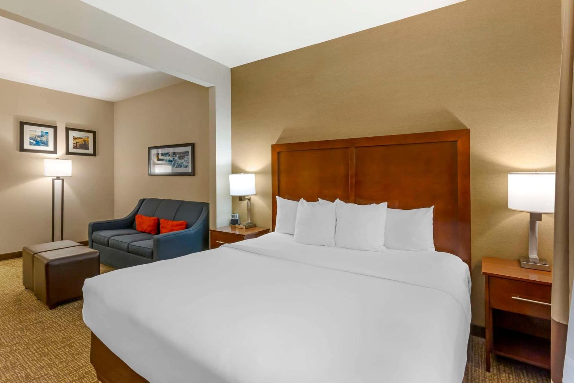Comfort Inn & Suites Jerome - Twin Falls, Jerome, foto 3