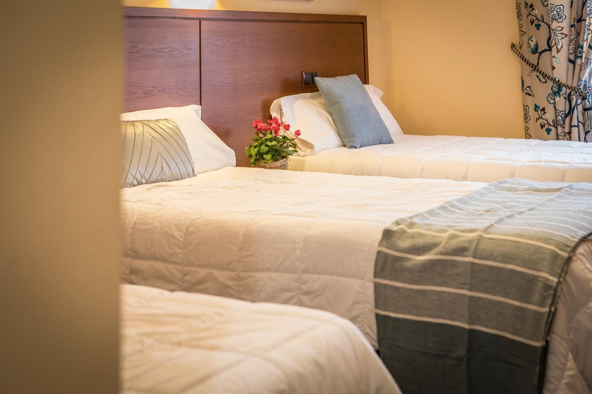 Hotel Casa José Díaz, San Agustín de Guadalix, foto 2