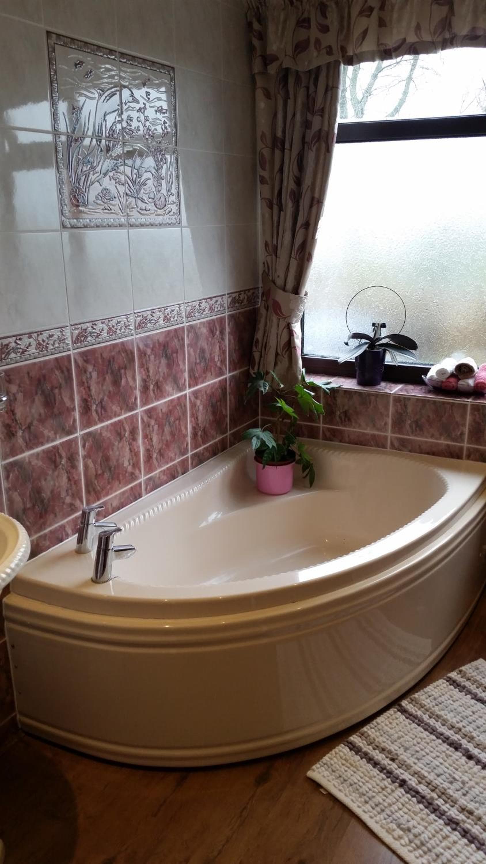 Bed & Breakfast Fieldview, Rochester, foto 3