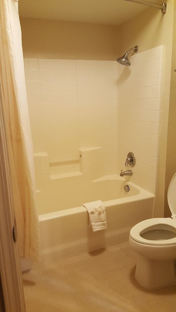 Comfort Inn & Suites Sequoia/Kings Canyon, Three Rivers, foto 3