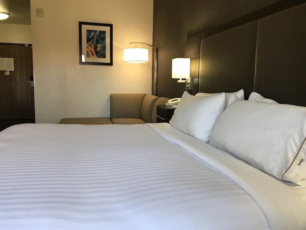 Holiday Inn Express Hotel & Suites Barstow-Outlet Center by IHG, Barstow, foto 3