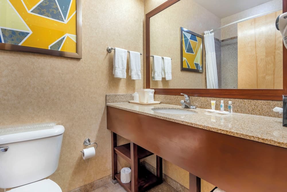 Comfort Inn at Convention Center, Saint George, foto 2