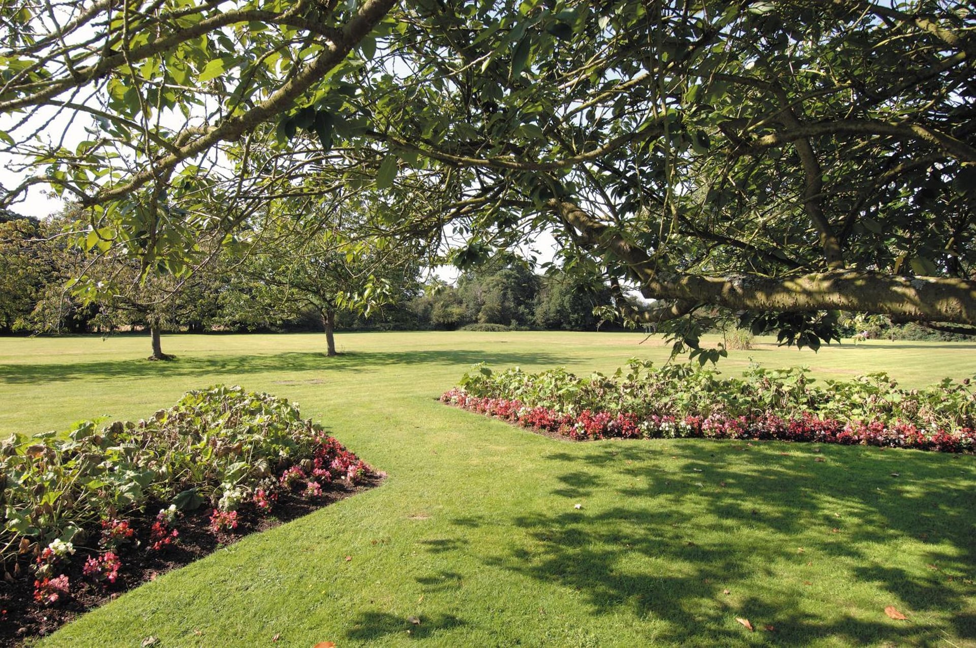 Grovefield House Hotel By Uno -FREE PARKING, Slough, foto 4