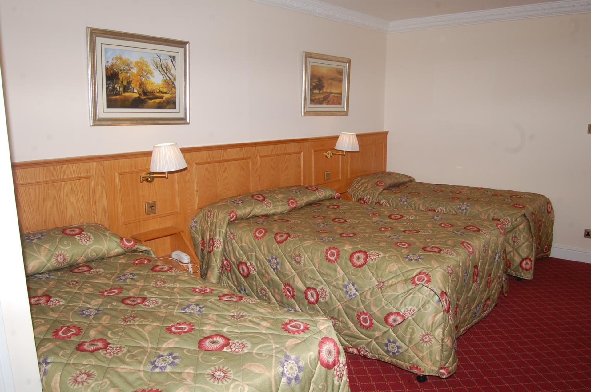 Viking Hotel, London, foto 3