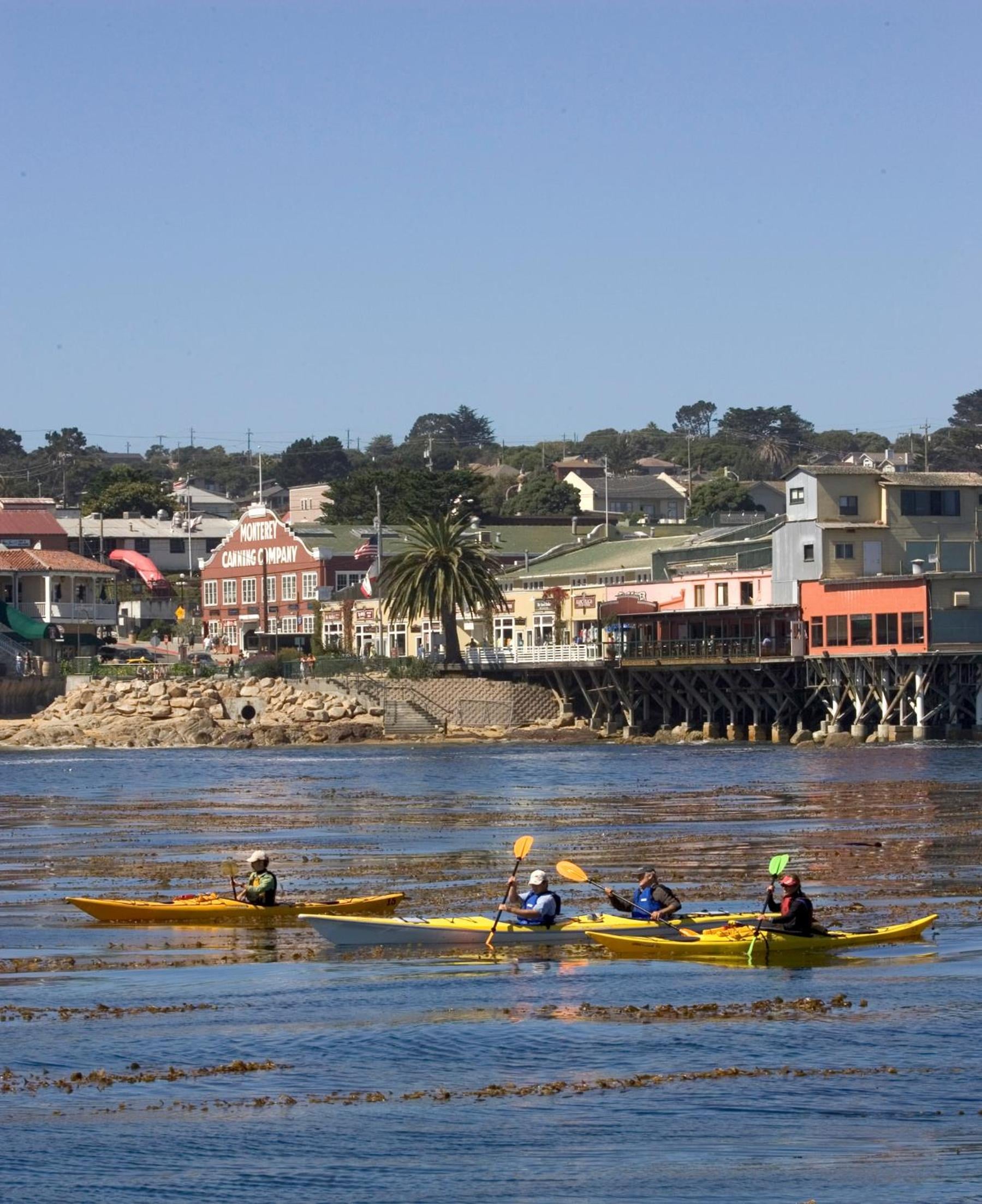 Monterey Bay Inn, Monterey, foto 5