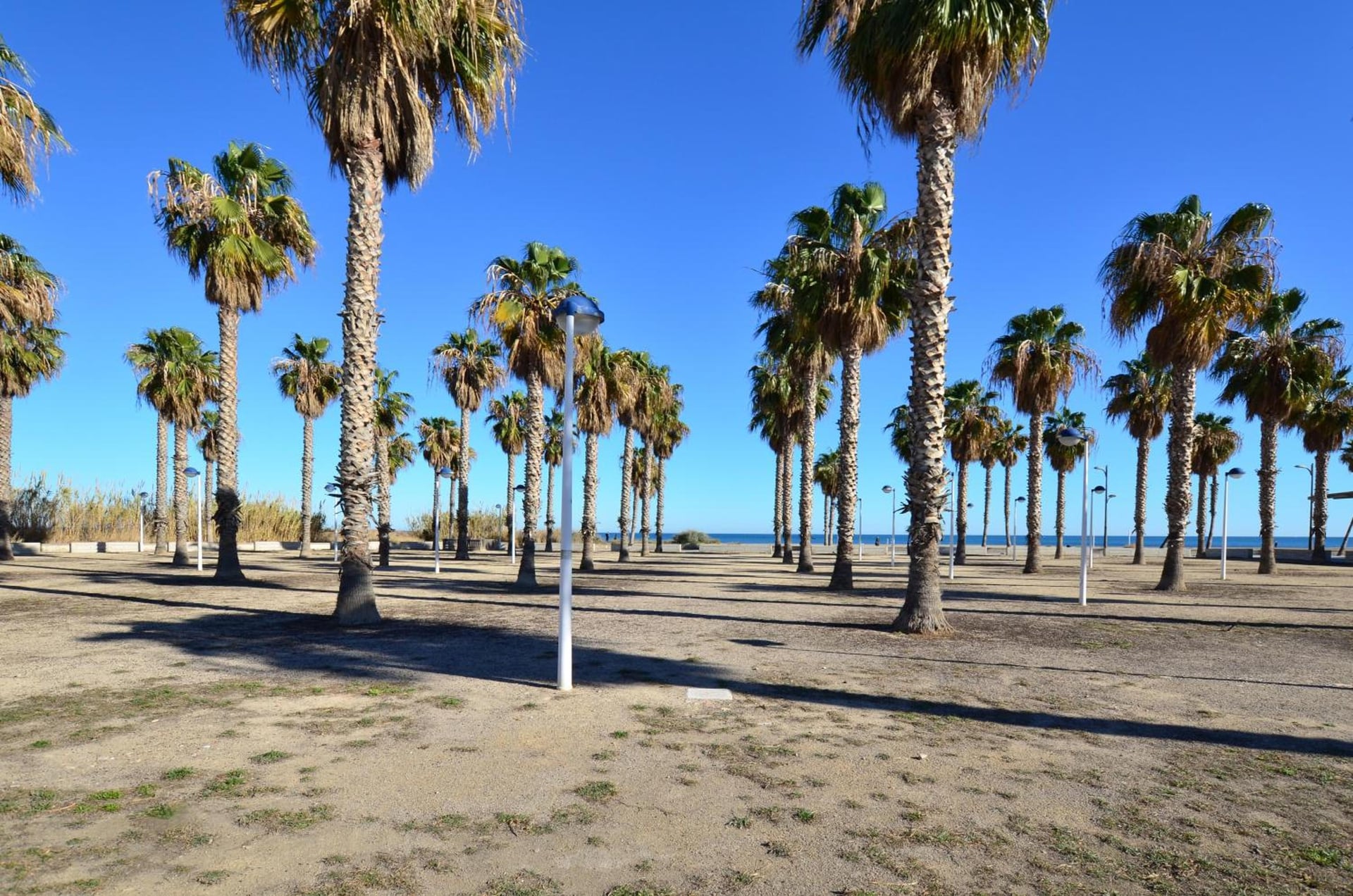 Apartamento frente al mar, Valencia, foto 4