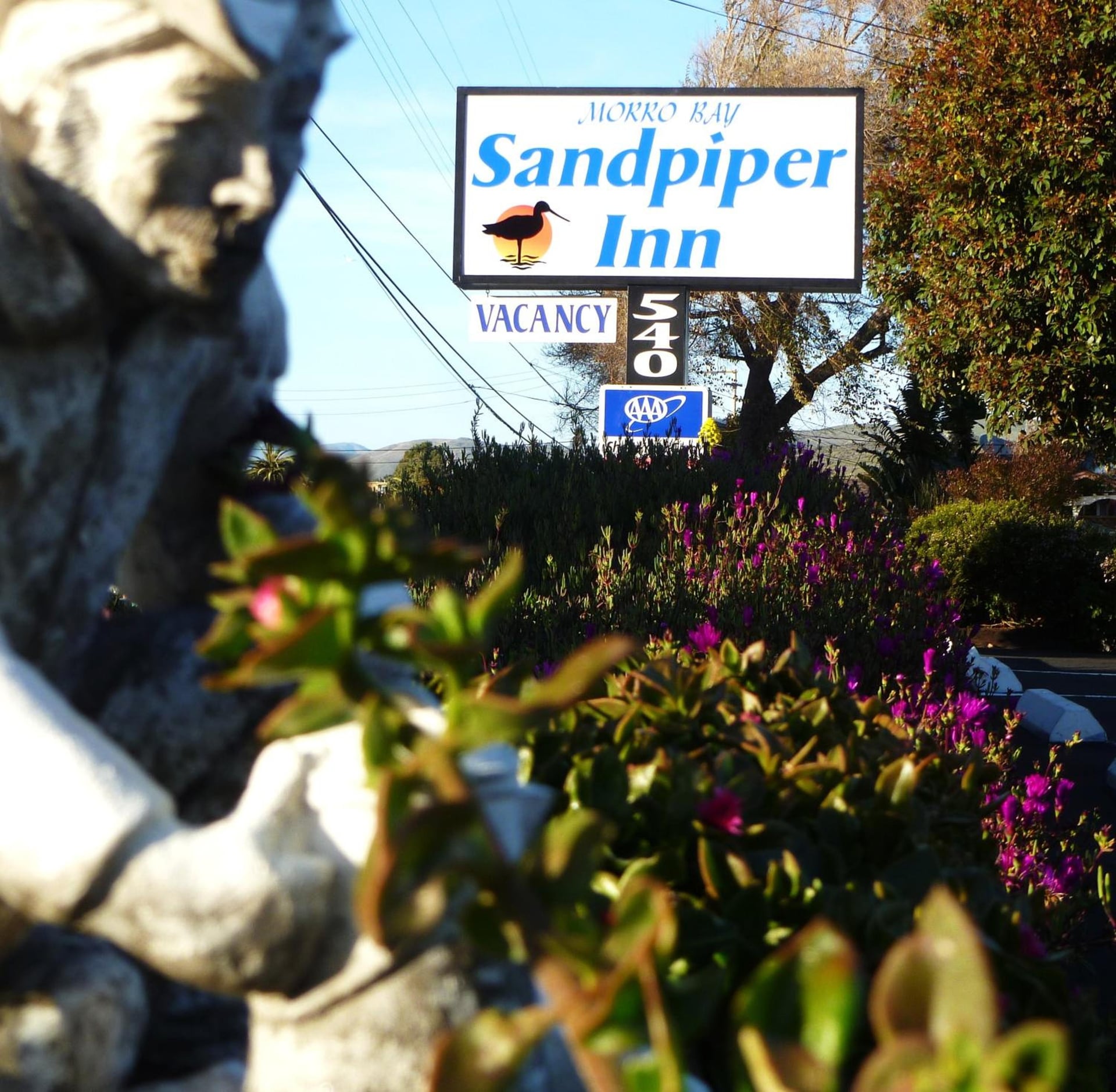 Morro Bay Sandpiper Inn, Morro Bay, foto 4