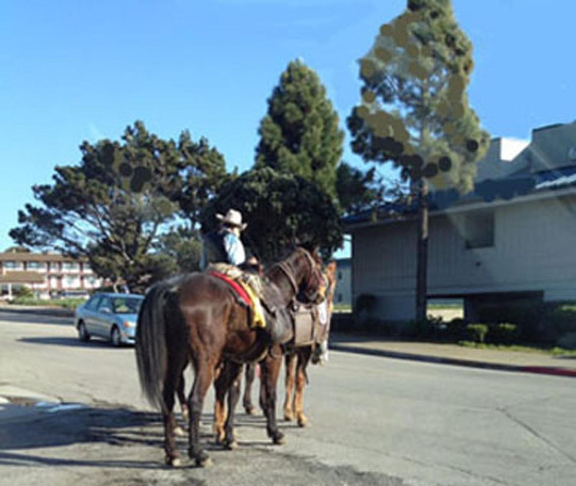 Bayfront Inn, Morro Bay, foto 2