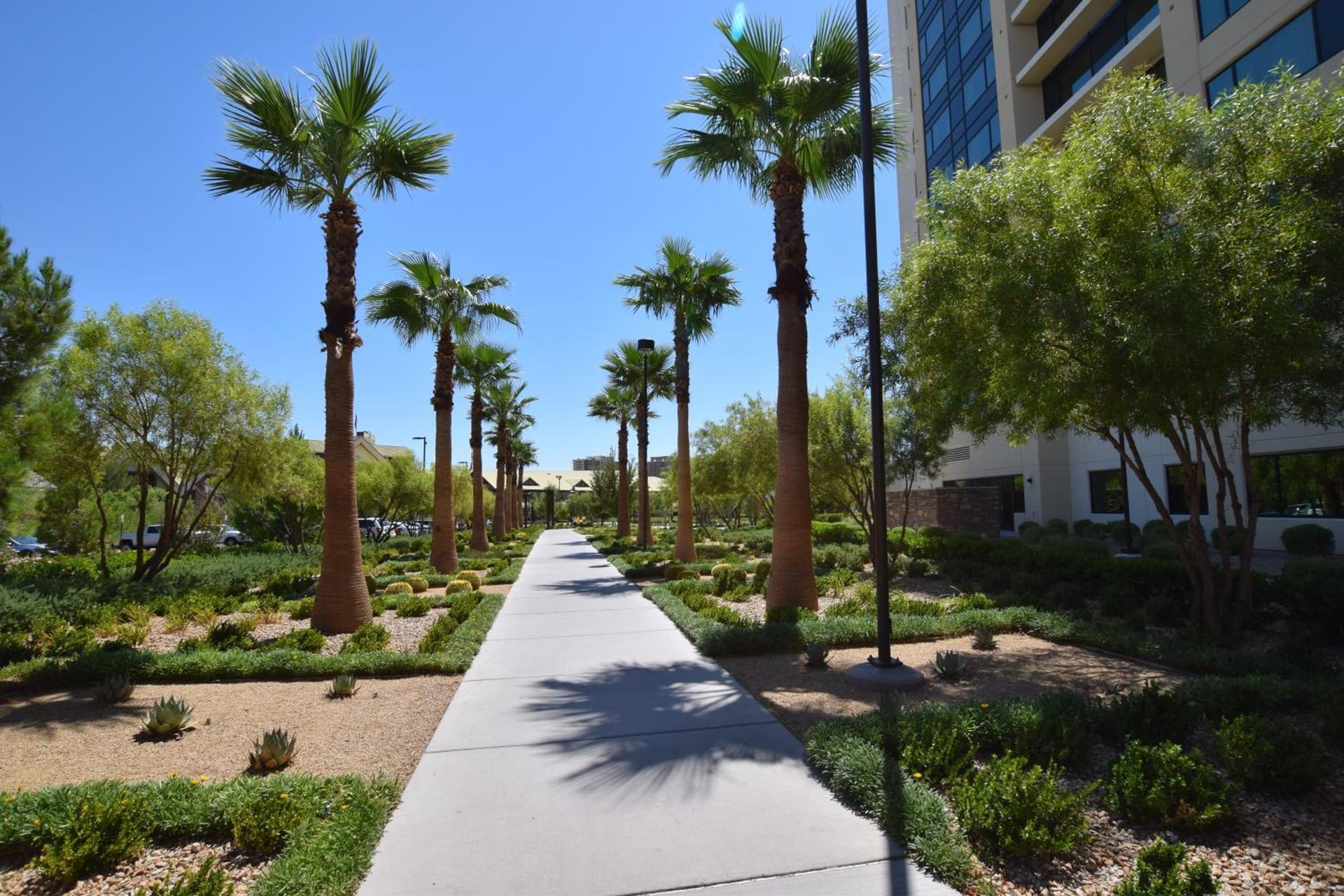The Berkley, Las Vegas, Las Vegas, foto 5