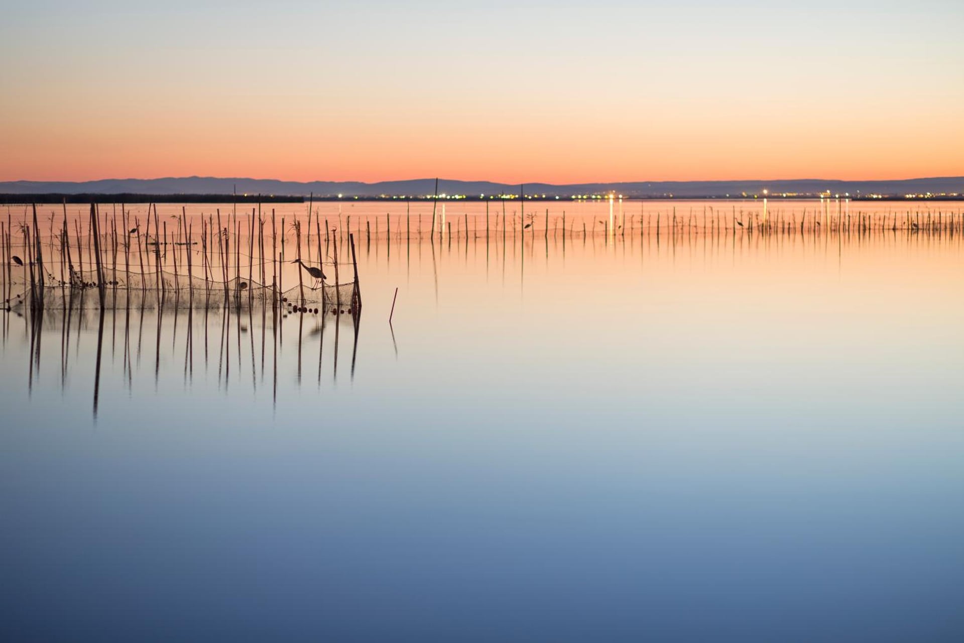 Aparthotel Albufera, Alfafar, foto 4