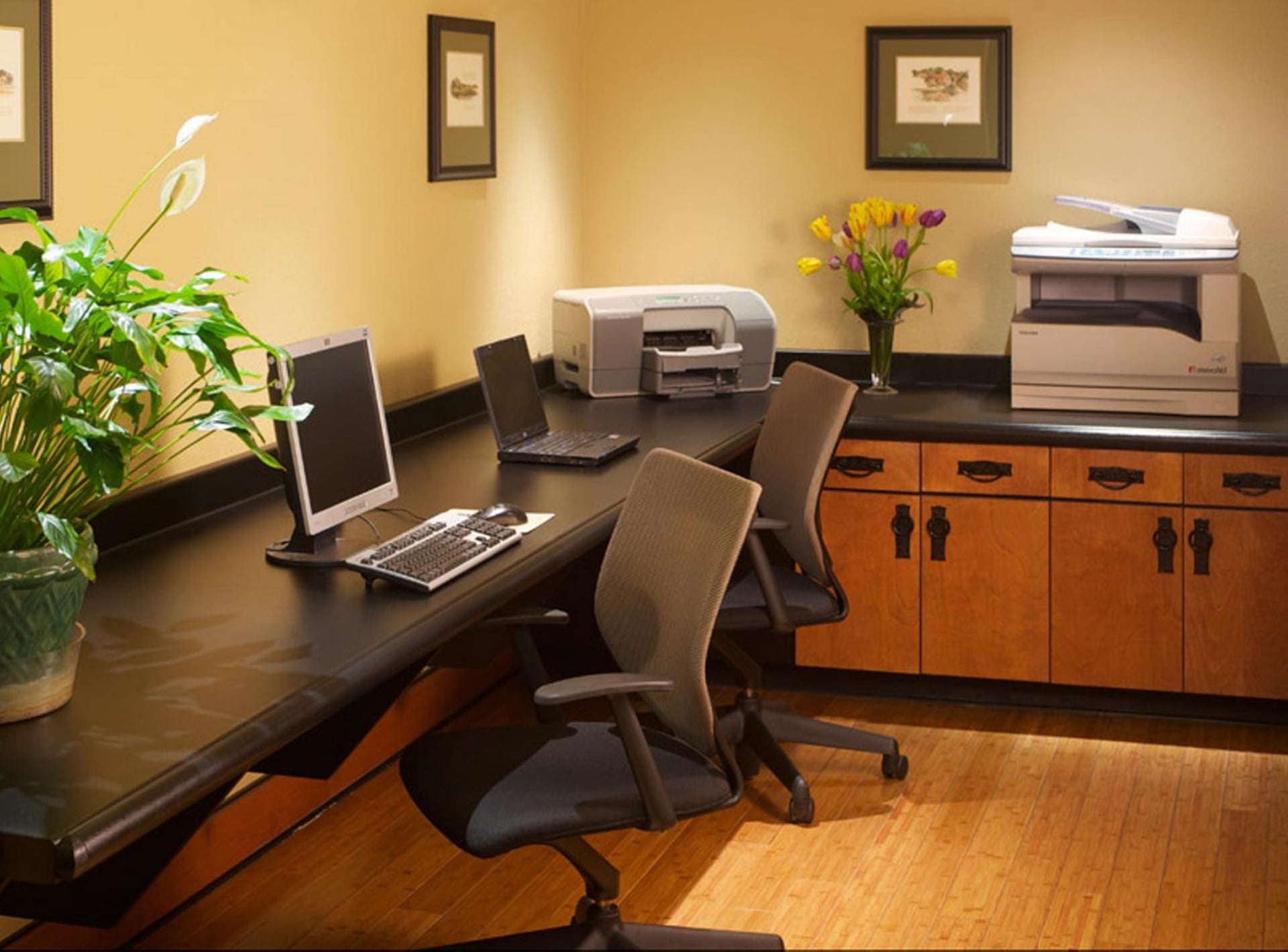 Larkspur Landing Extended Stay Suites Sunnyvale, Sunnyvale, foto 4