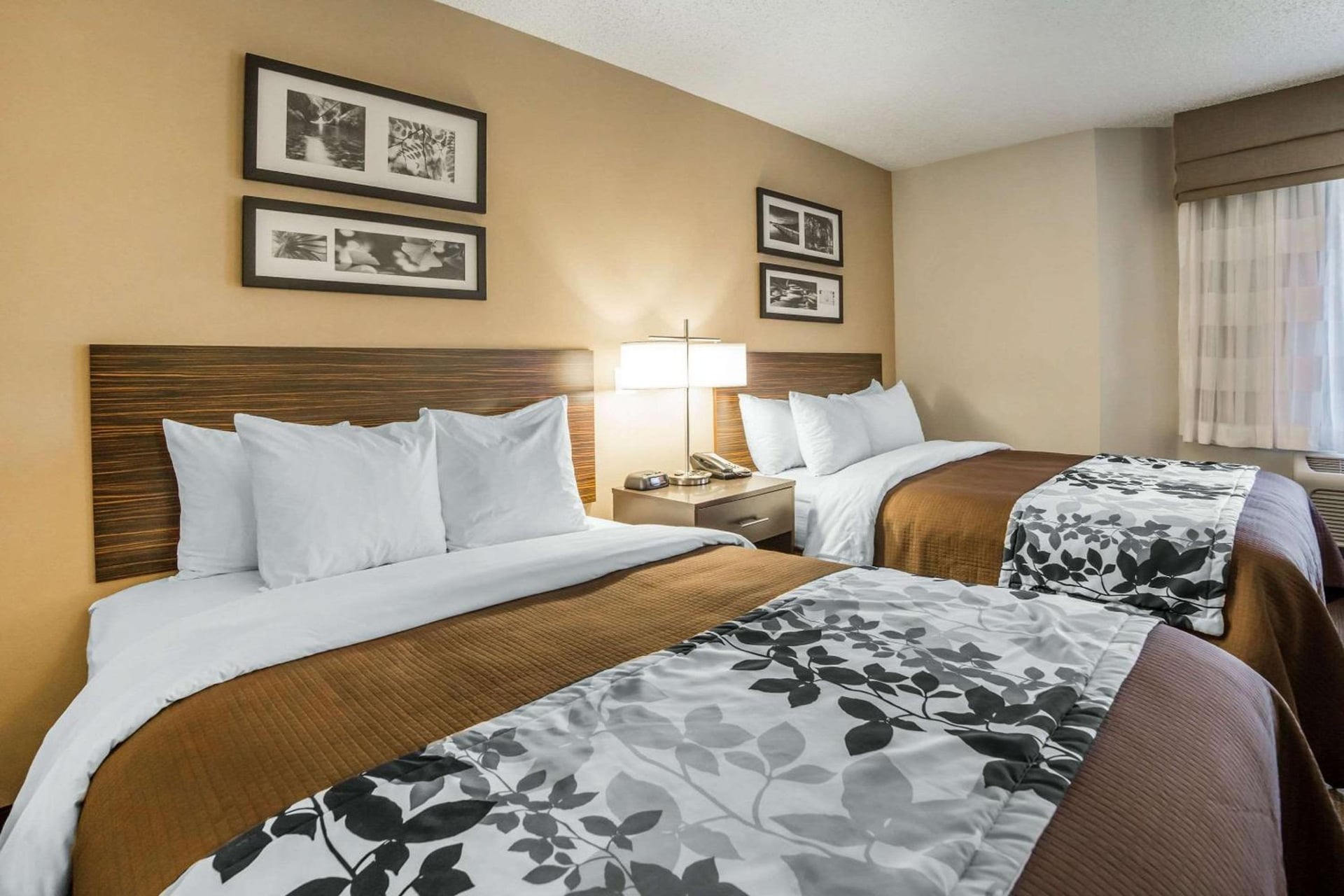 Sleep Inn Provo near University, Provo, foto 4