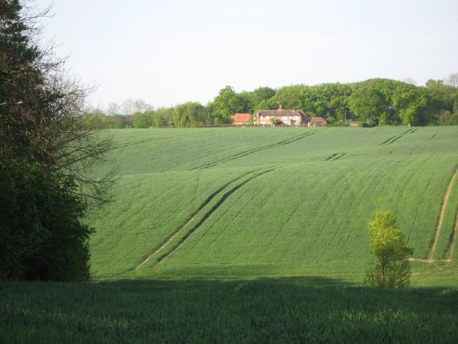 Wellrose Barn, Much Hadham, foto 4