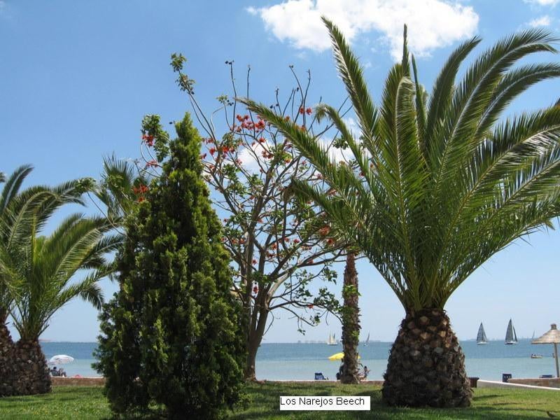 Beautiful 1 bedroom apartment in Roda, Los Alcazares. Larger than average., Roda, foto 4