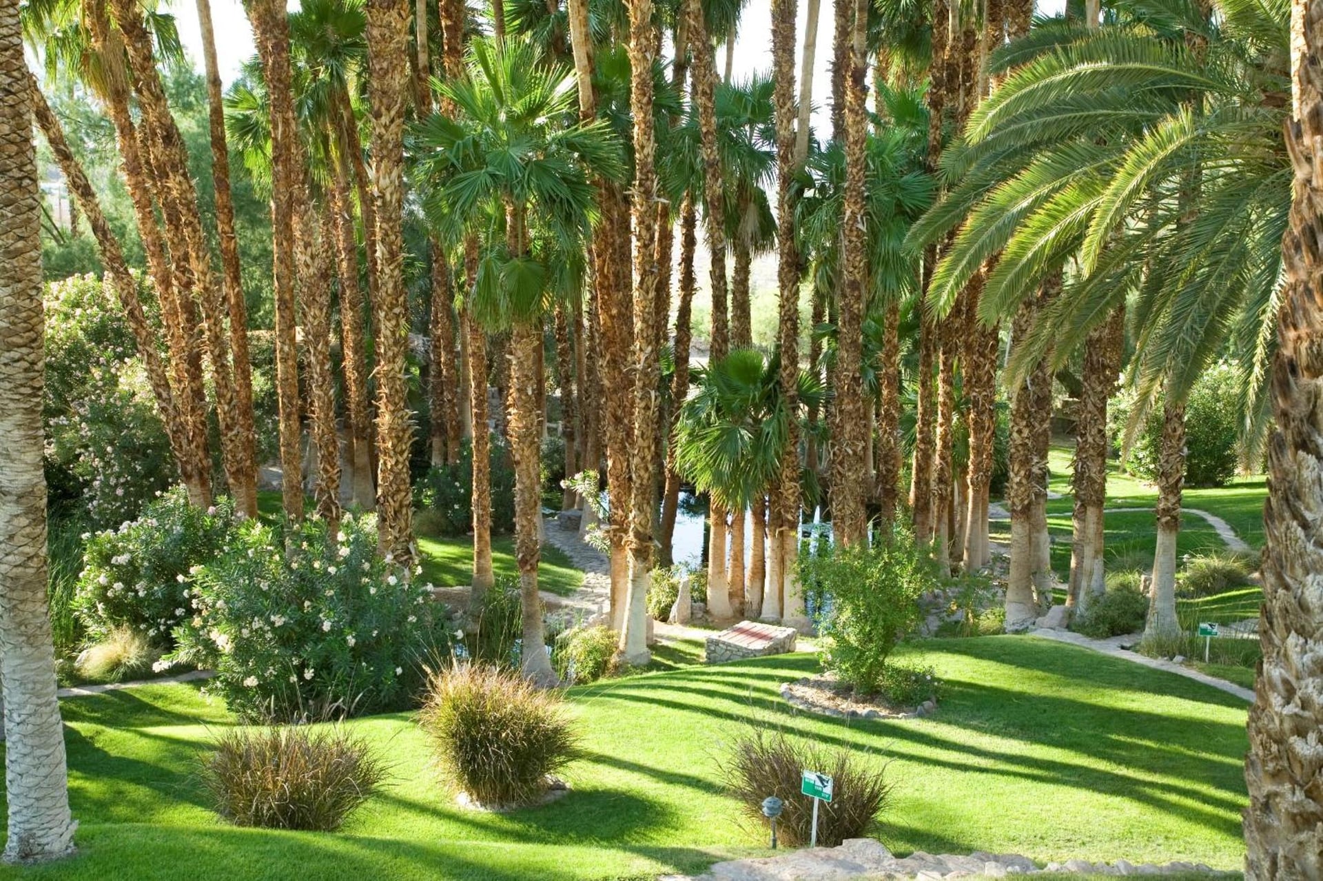 The Inn at Death Valley, Death Valley, foto 2