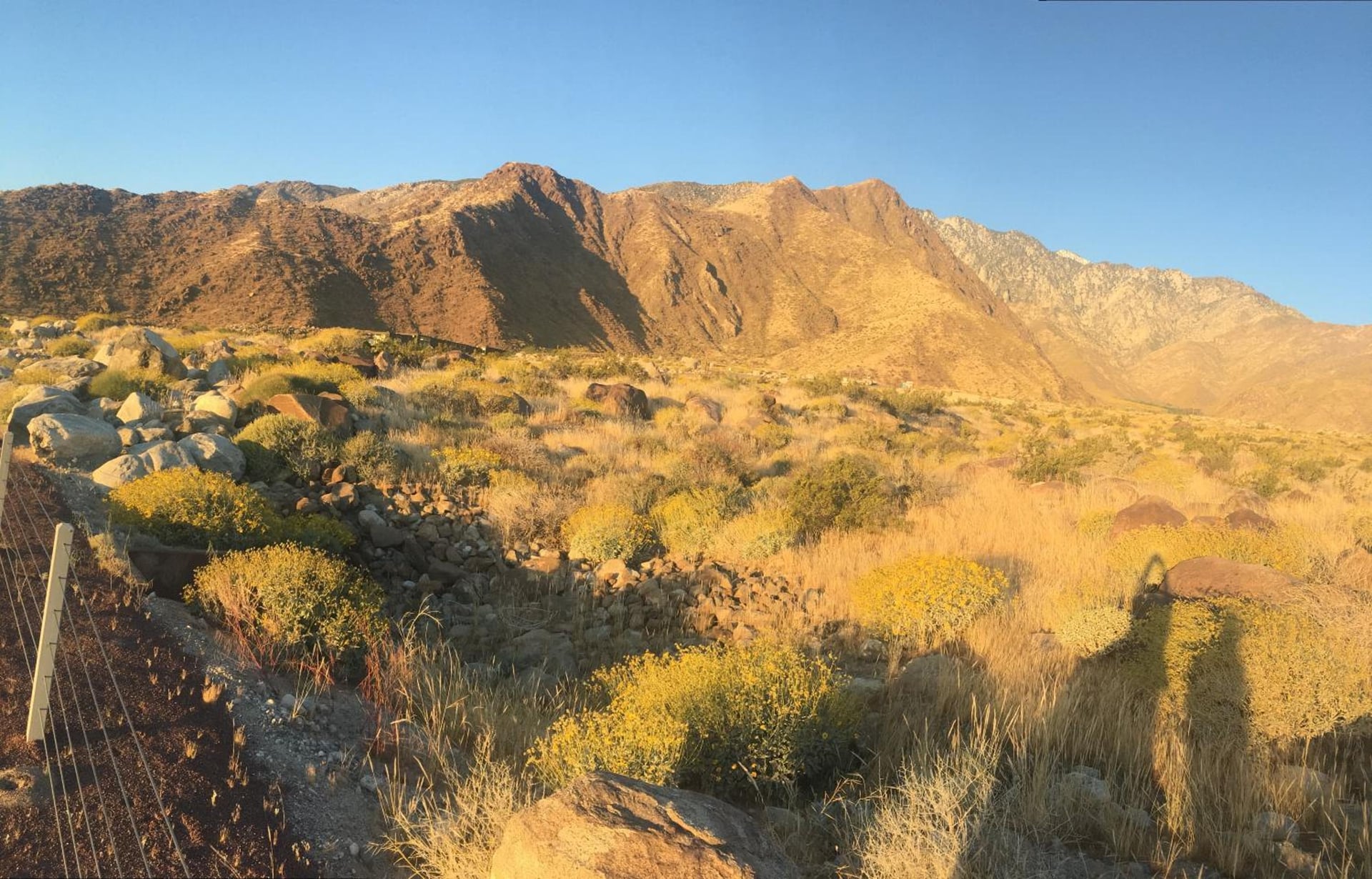 Inn at Palm Springs, Palm Springs, foto 4