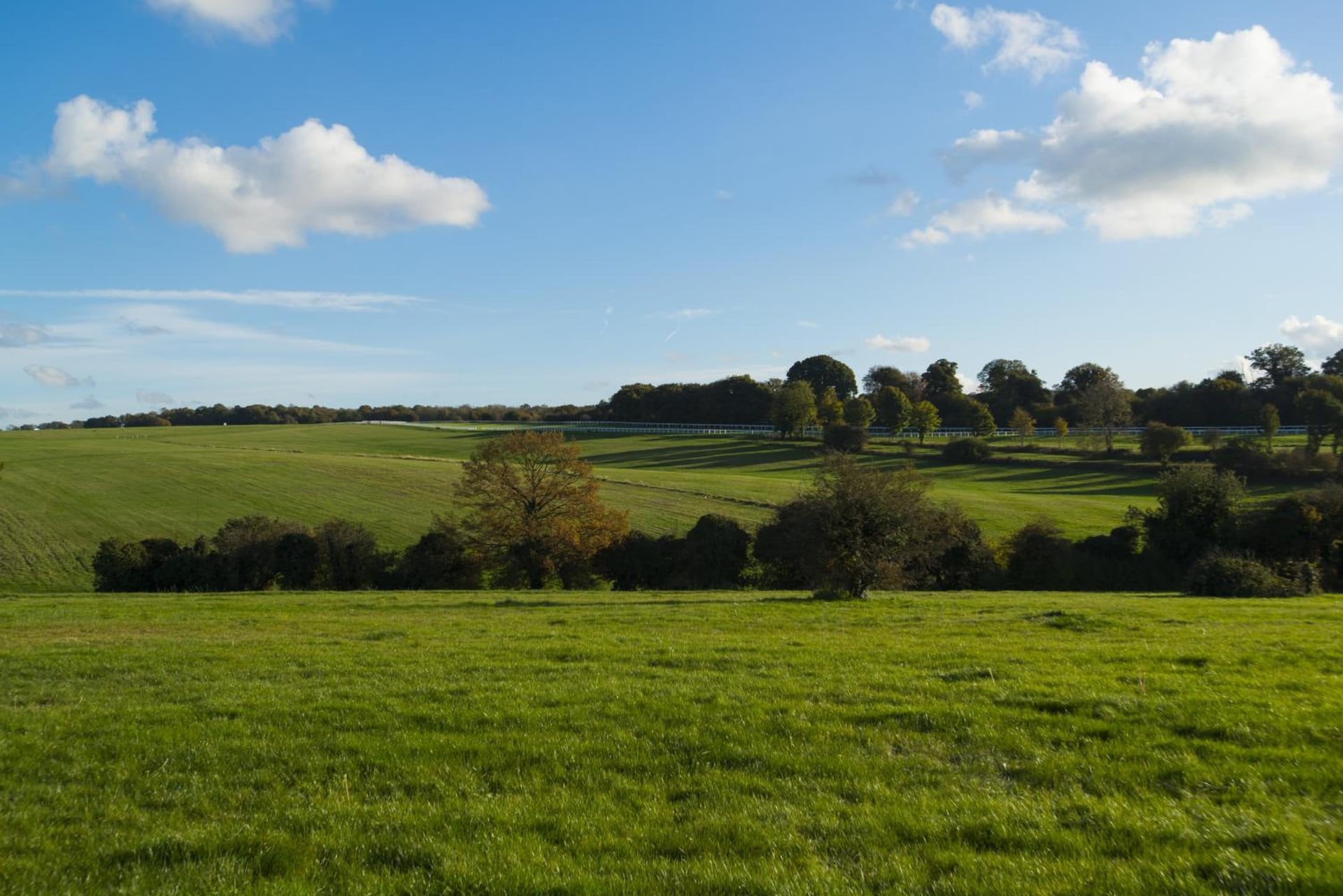 Holiday Inn Express London - Epsom Downs by IHG, Epsom, foto 2