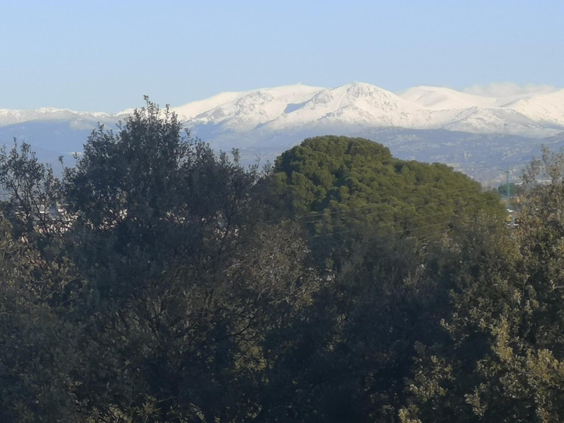 Madrid Green, Villaviciosa de Odón, foto 5