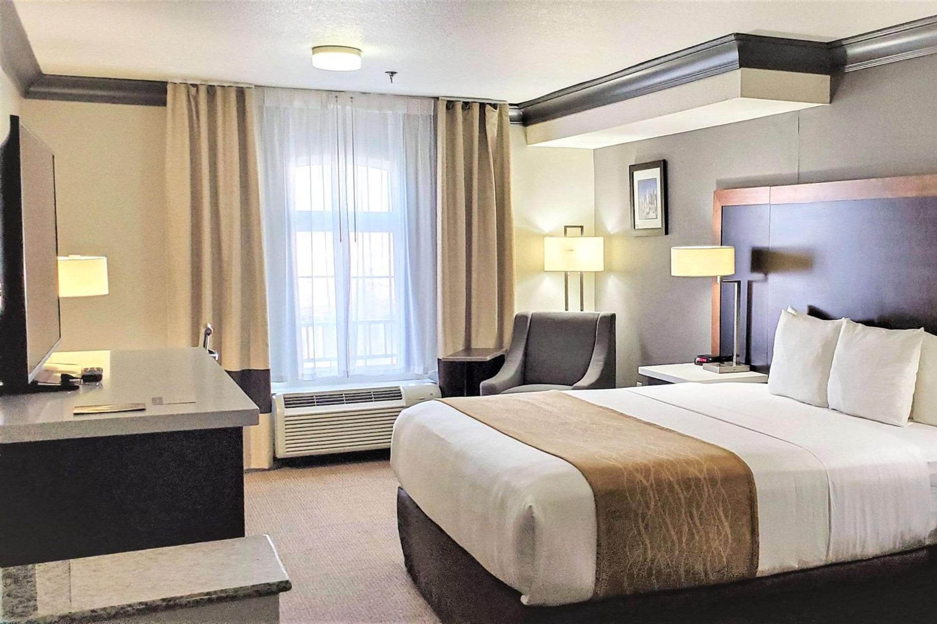 Comfort Inn & Suites Near Universal - N Hollywood - Burbank, North Hollywood, foto 4