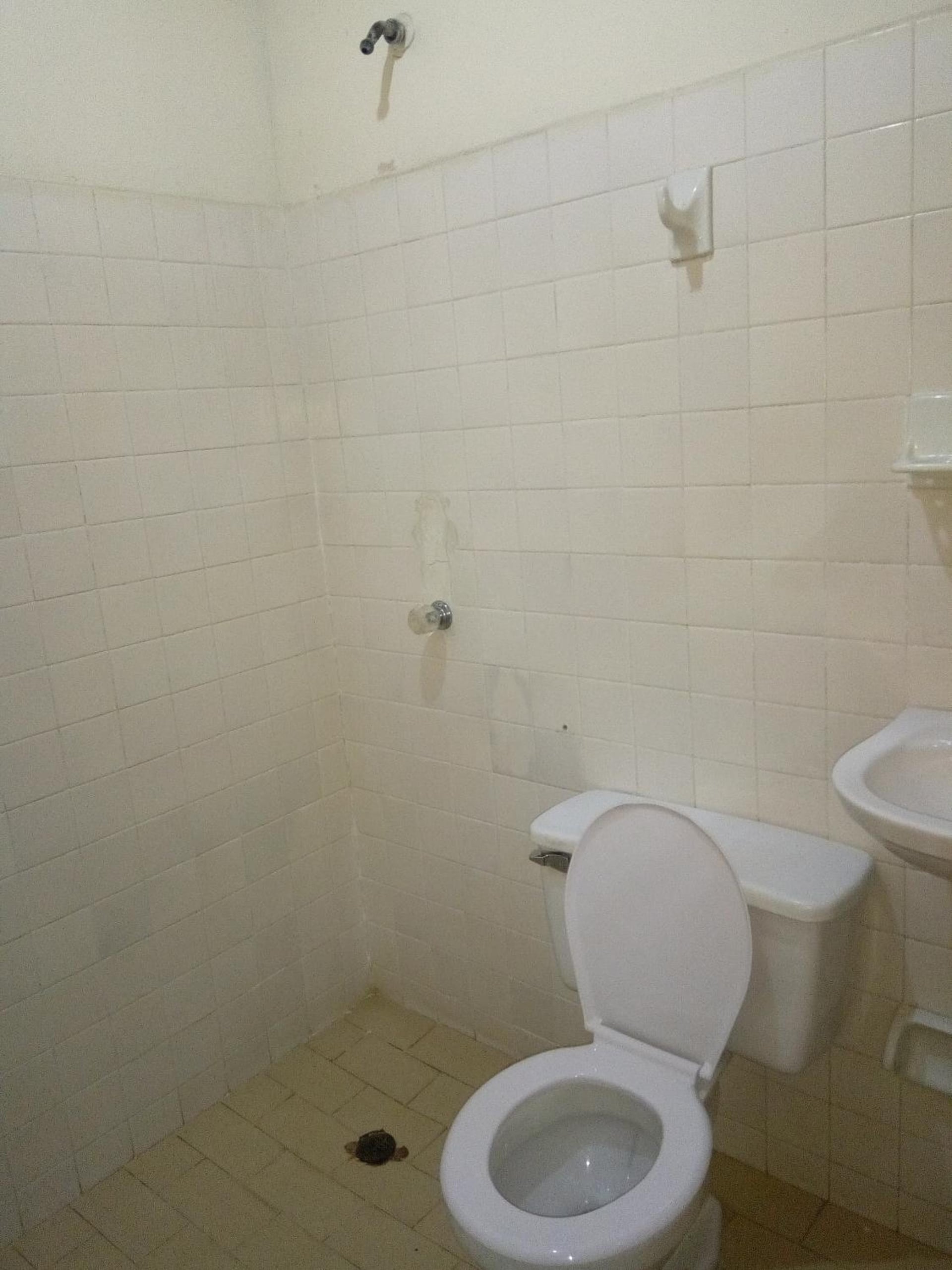 HOTEL en MONTERIA CITY, Montería, foto 5