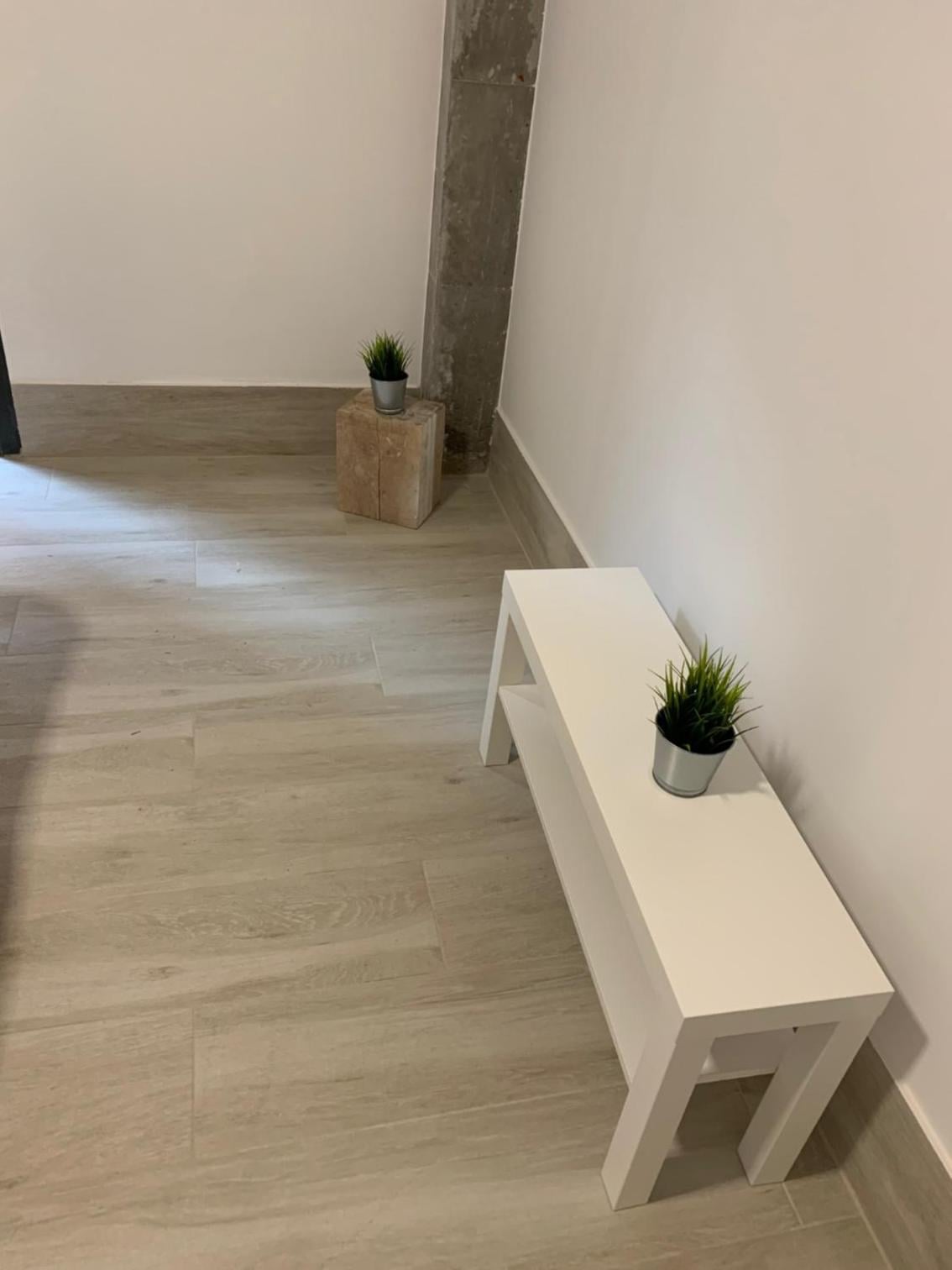 NUEVOS DUPLEX PRINCIPE VERGARA, Madrid, foto 2