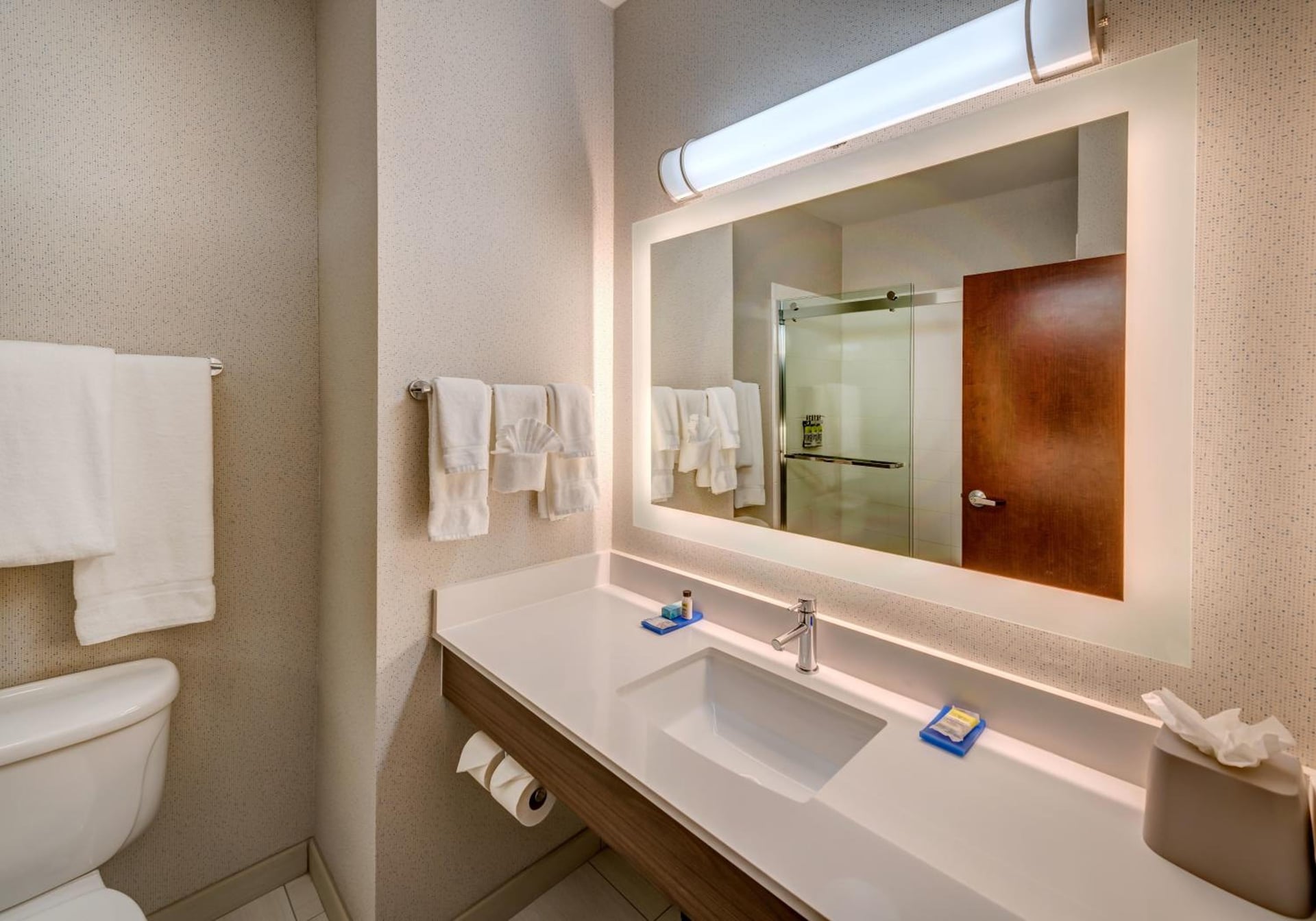 Holiday Inn Express Reno Airport by IHG, Reno, foto 4