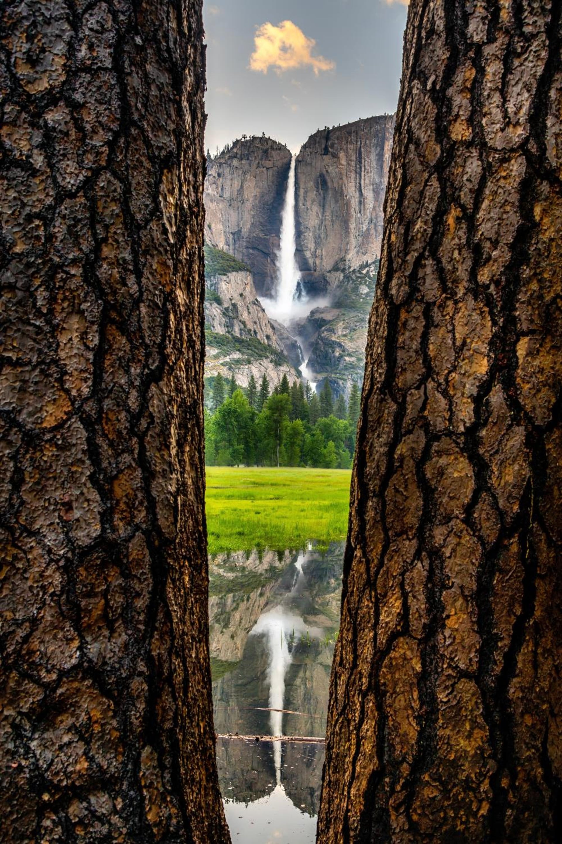 Yosemite Valley Lodge, YOSEMITE NATIONAL PARK, foto 5