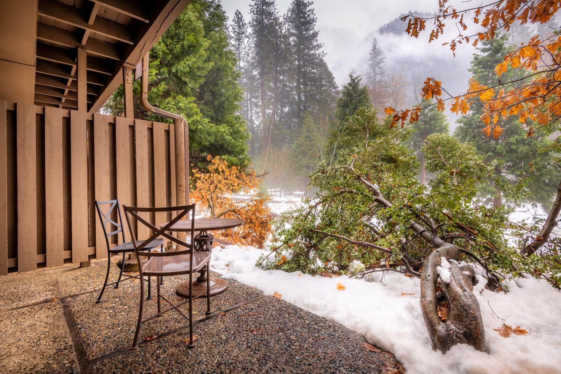 Yosemite Valley Lodge, YOSEMITE NATIONAL PARK, foto 2