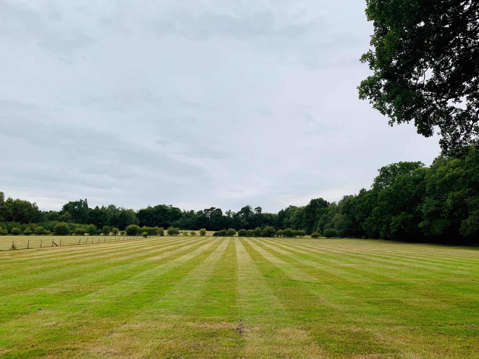 Whitmoor Farm, Guildford, foto 4