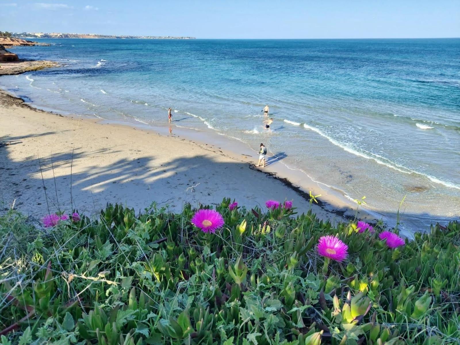 Apartamento del Niño, Dehesa de Campoamor, foto 4
