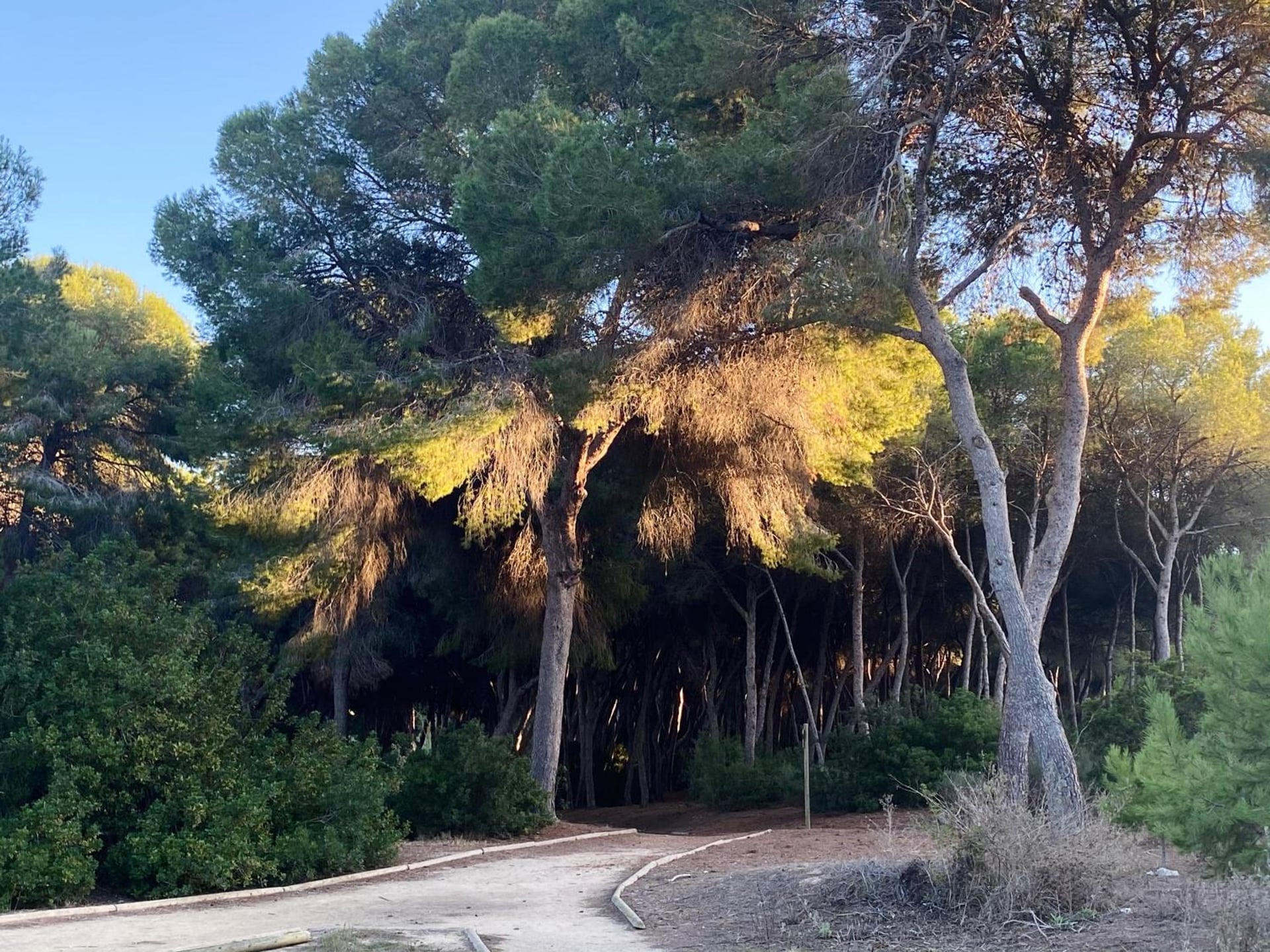 Apartamento Hermosa Glea, Dehesa de Campoamor, foto 4