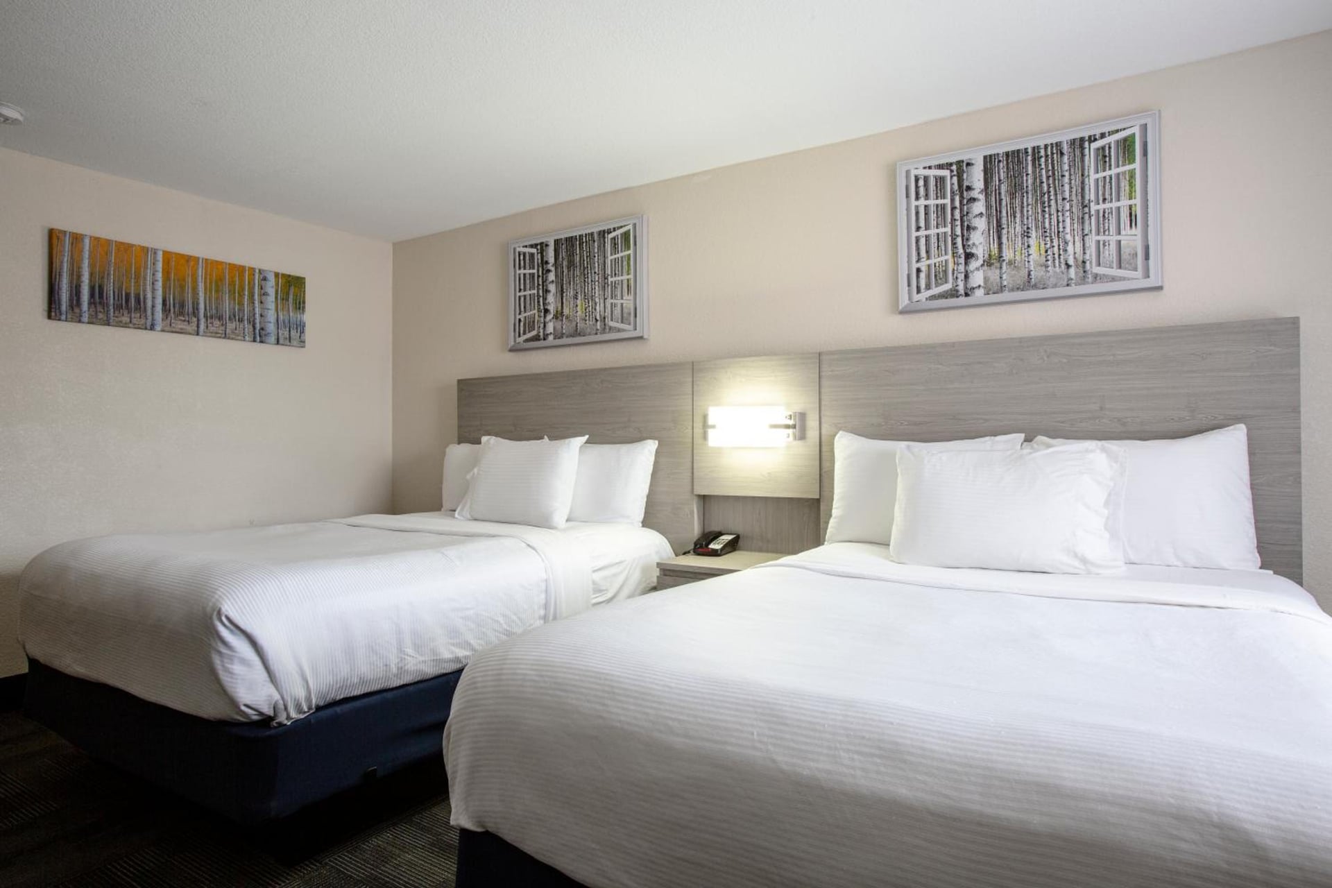 Hotel Aspen Flagstaff/ Grand Canyon InnSuites, Flagstaff, foto 2