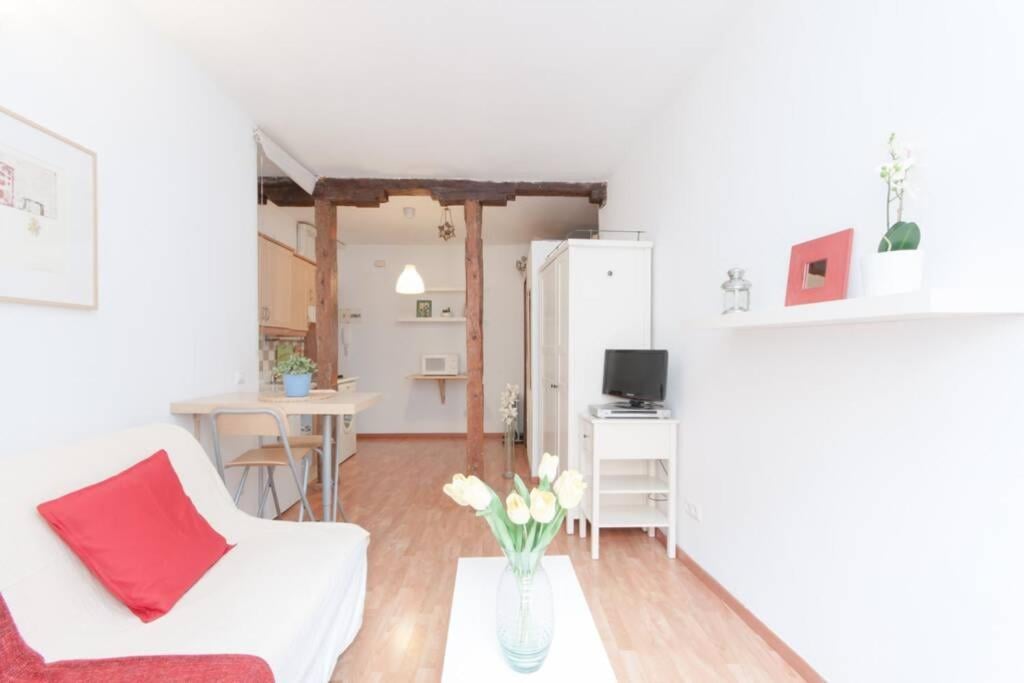 Estudio Magdalena, pleno centro de Madrid, Madrid, foto 5