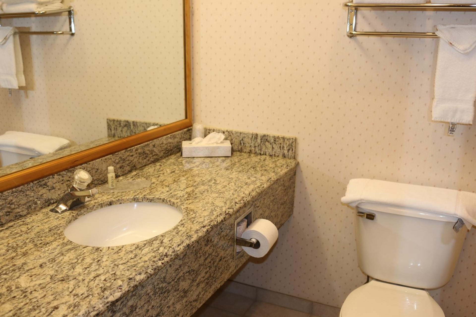 Gray Wolf Inn & Suites, West Yellowstone, foto 3