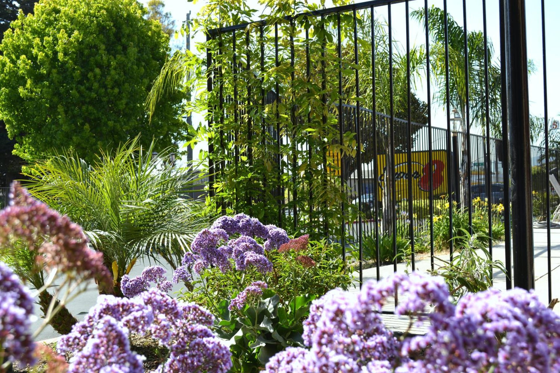 Super 8 by Wyndham Salinas, Salinas, foto 4
