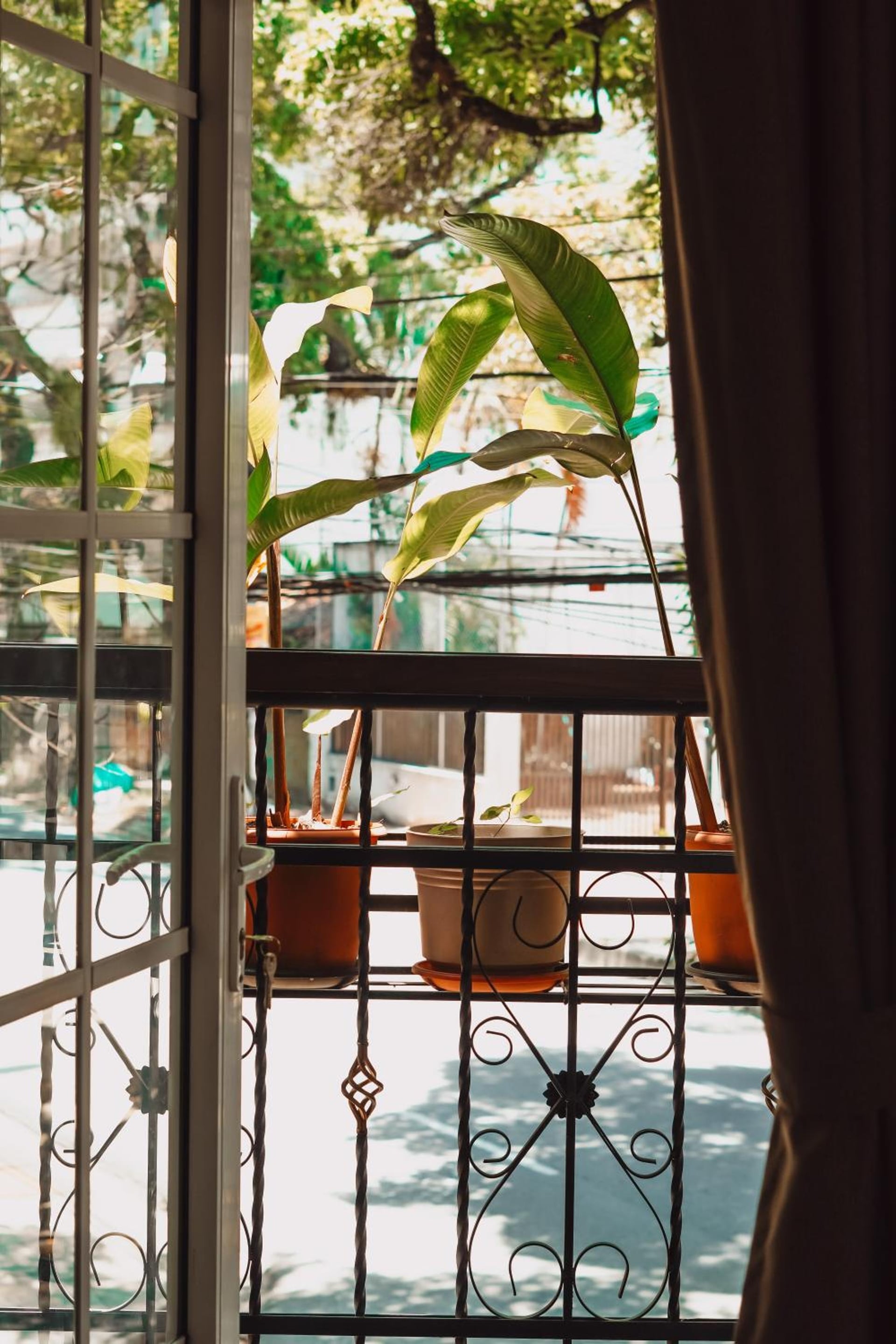 Hotel Casa del Hidalgo Centenario - Business & Leisure, Cali, foto 4