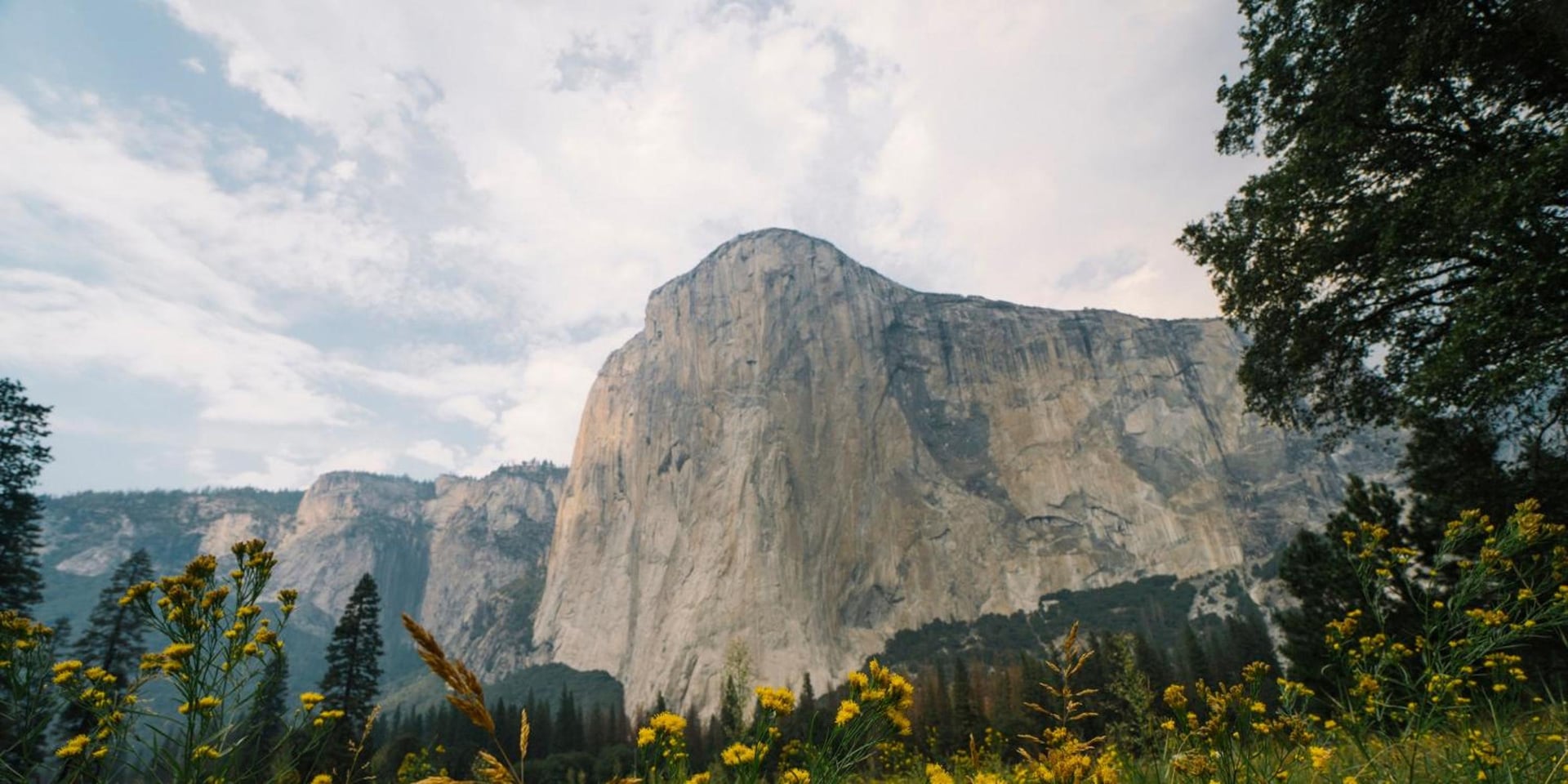 AutoCamp Yosemite, Midpines, foto 5