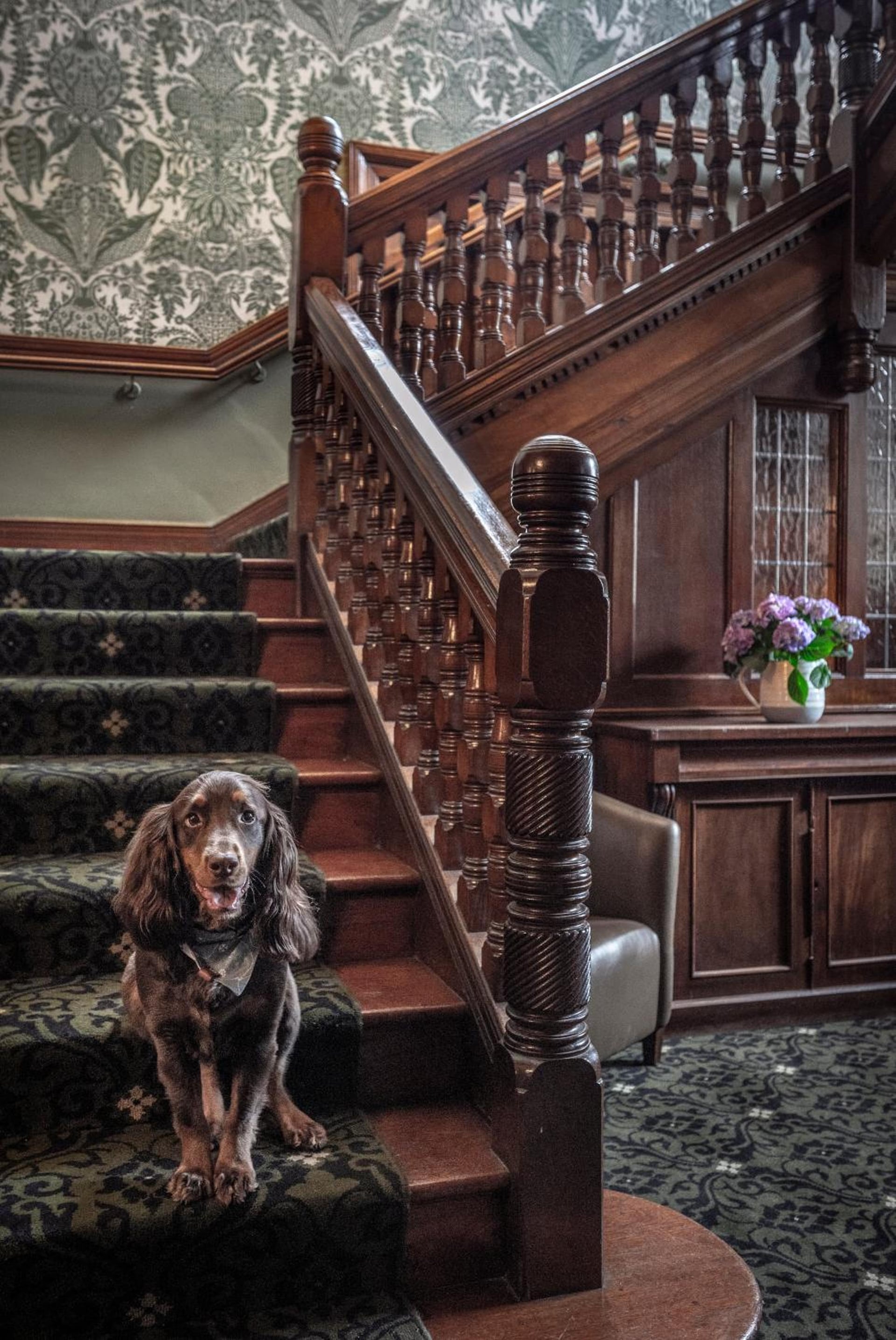 Woodlands Park Hotel, Cobham, foto 5