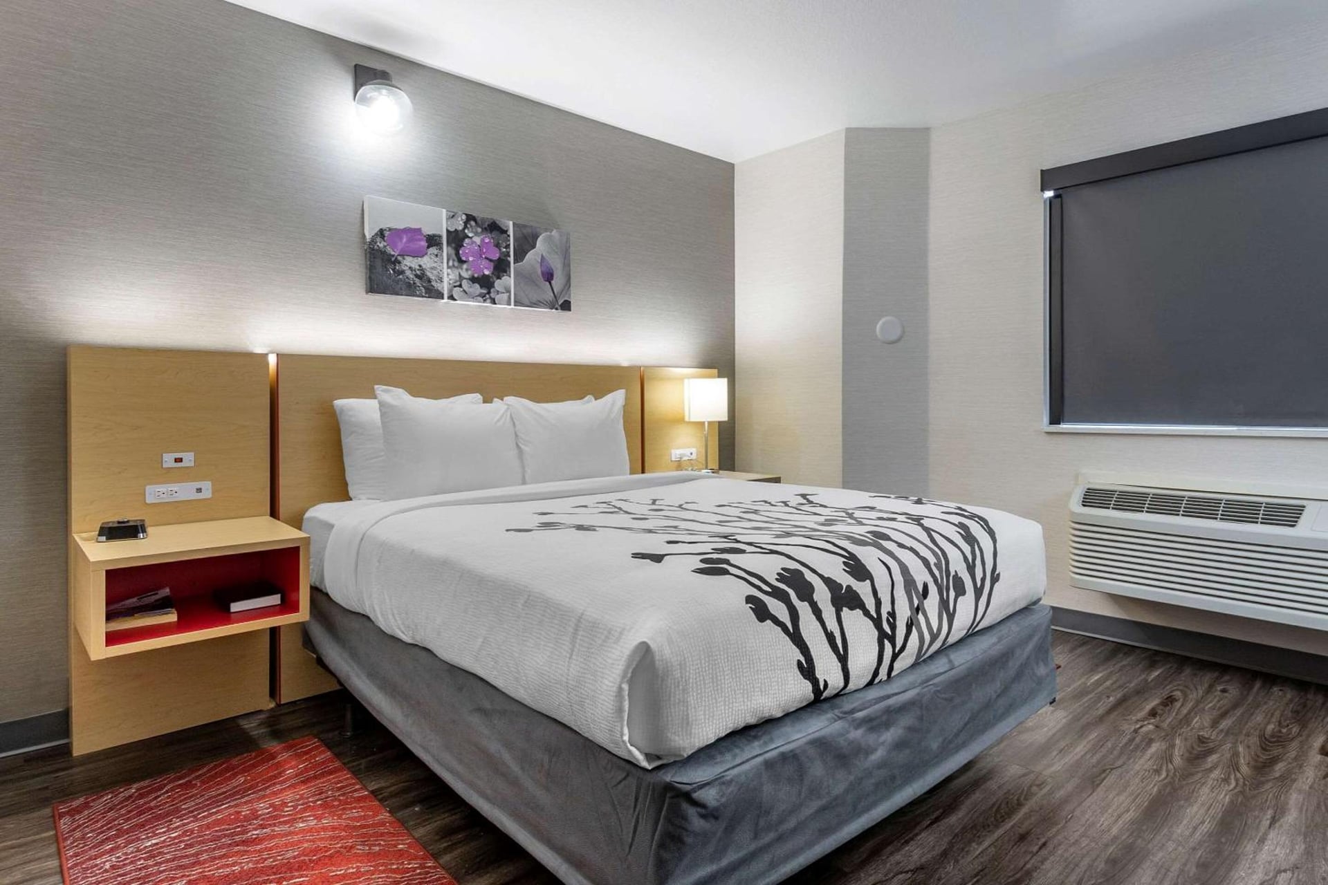 Sleep Inn & Suites Jerome - Twin Falls, Jerome, foto 3